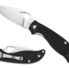 Vouwmes Spyderco Byrd Raven 2