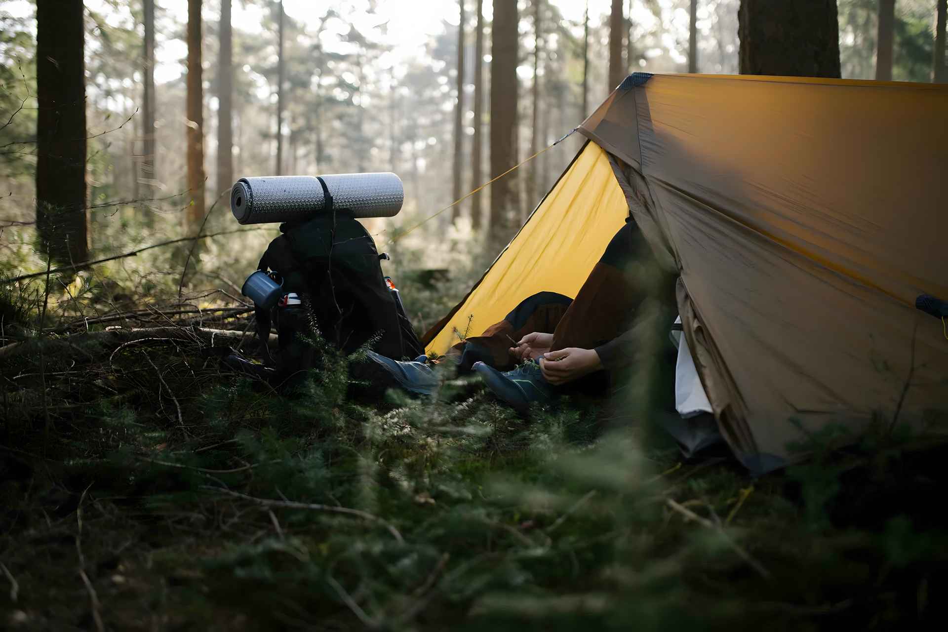 Spydercoe Winkel -Spydercoe Winkel BvdPhotography FU2A1860 ik wil hiken 11zon scaled 1